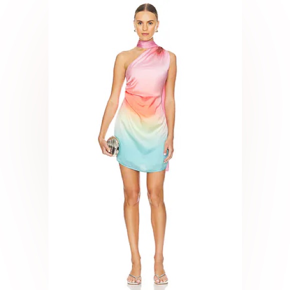 Baobab Ari Mini Dress In Majorie